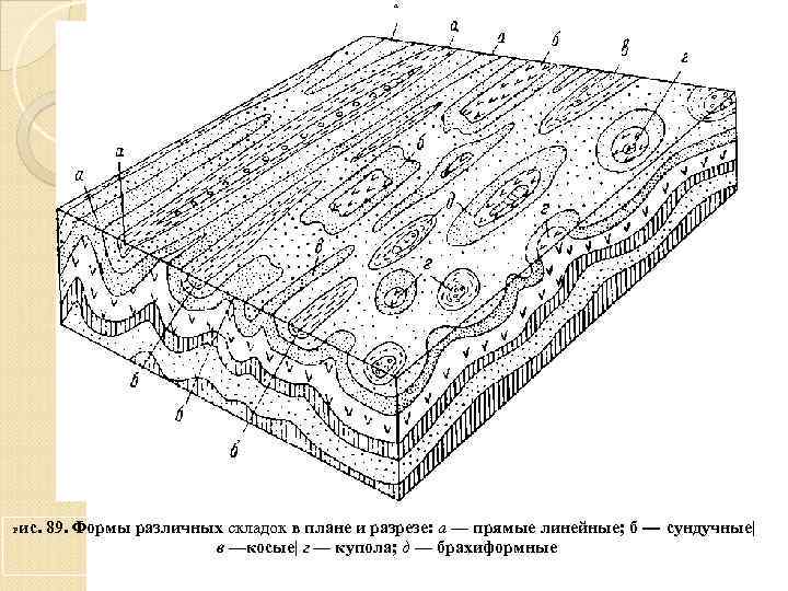 а ис. 89. Формы различных складок в плане и разрезе: а — прямые линейные;