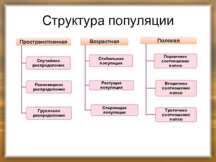 Структура популяции Пространственная Случайное распределение Равномерное распределение Групповое распределение Возрастная Половая Стабильная популяция Первичное