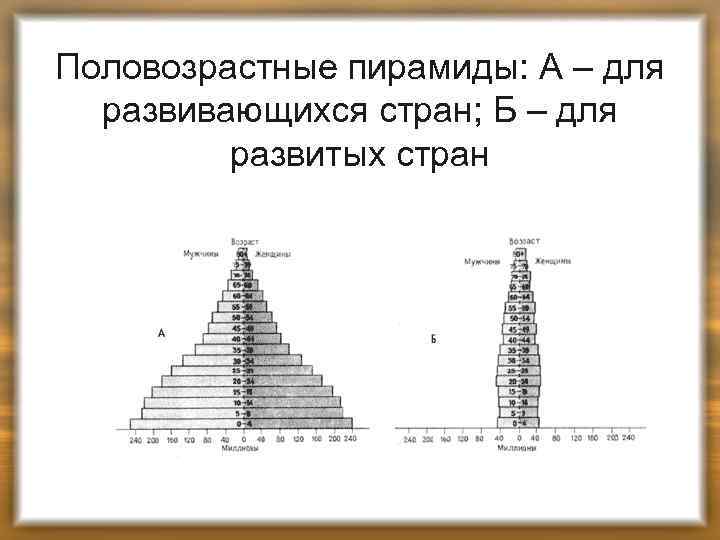 Половозрастные пирамиды: А – для развивающихся стран; Б – для развитых стран 