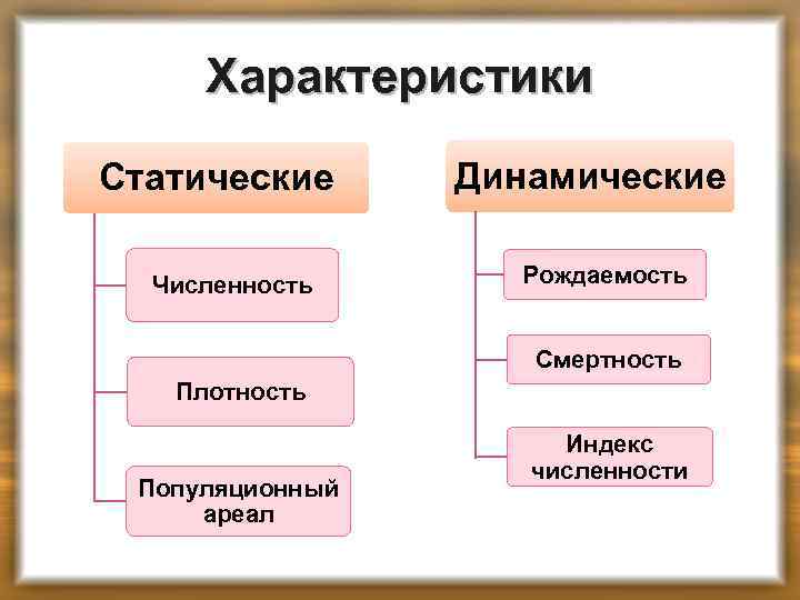 Характеристики Статические Численность Динамические Рождаемость Смертность Плотность Популяционный ареал Индекс численности 