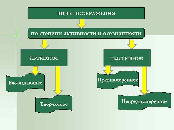 ВИДЫ ВООБРАЖЕНИЯ по степени активности и осознанности активное Воссоздающее Творческое пассивное Преднамеренное Непреднамеренное 