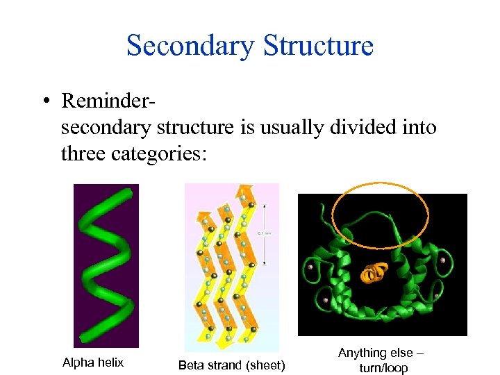 Secondary Structure • Reminder- secondary structure is usually divided into three categories: Alpha helix