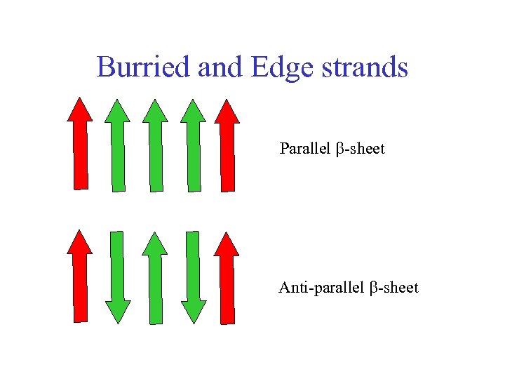 Burried and Edge strands Parallel -sheet Anti-parallel -sheet 