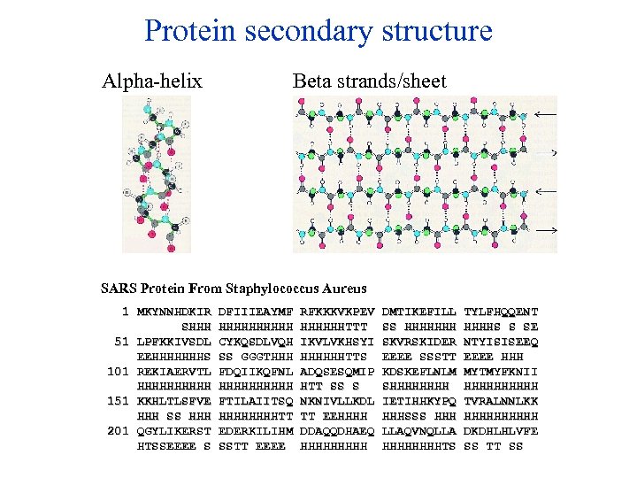Protein secondary structure Alpha-helix Beta strands/sheet SARS Protein From Staphylococcus Aureus 1 MKYNNHDKIR SHHH