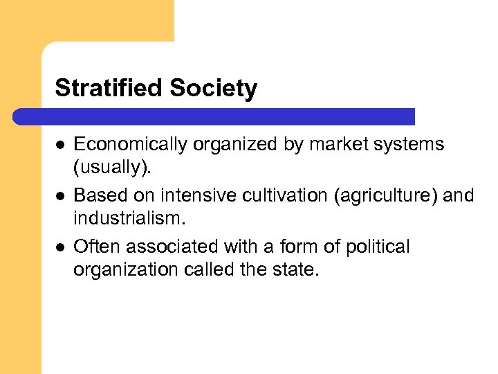 Stratified Society l l l Economically organized by market systems (usually). Based on intensive