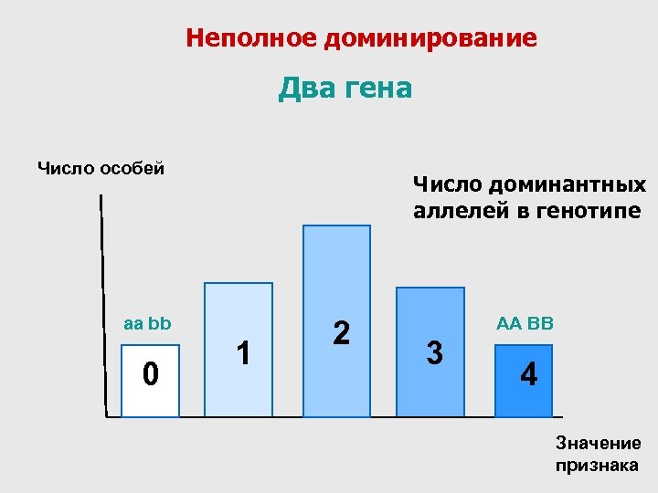 Неполное доминирование Два гена Число особей Число доминантных аллелей в генотипе aa bb 0