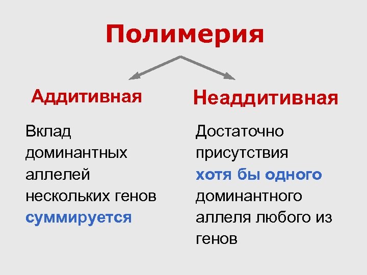 Полимерия это. Аддитивная Полимерия. Аддитивная и неаддитивная Полимерия. Аддитивная Полимерия примеры. Аддитивная Полимерия это в генетике.