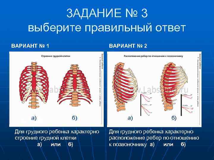 3 АДАНИЕ № 3 выберите правильный ответ ВАРИАНТ № 1 А а) ) а)