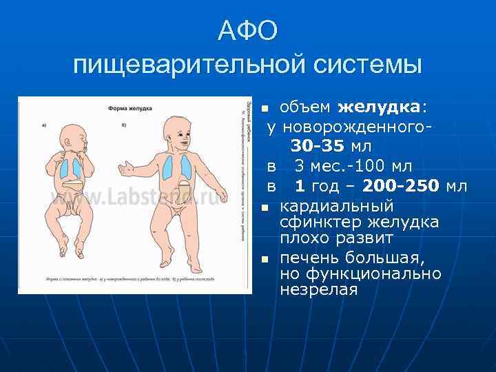 АФО пищеварительной системы объем желудка: у новорожденного 30 -35 мл в 3 мес. -100