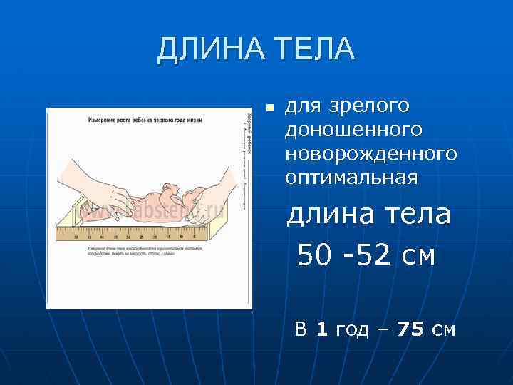 ДЛИНА ТЕЛА n для зрелого доношенного новорожденного оптимальная длина тела 50 -52 см В