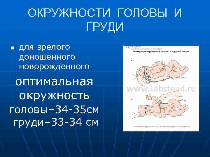 ОКРУЖНОСТИ ГОЛОВЫ И ГРУДИ n для зрелого доношенного новорожденного оптимальная окружность головы– 34 -35