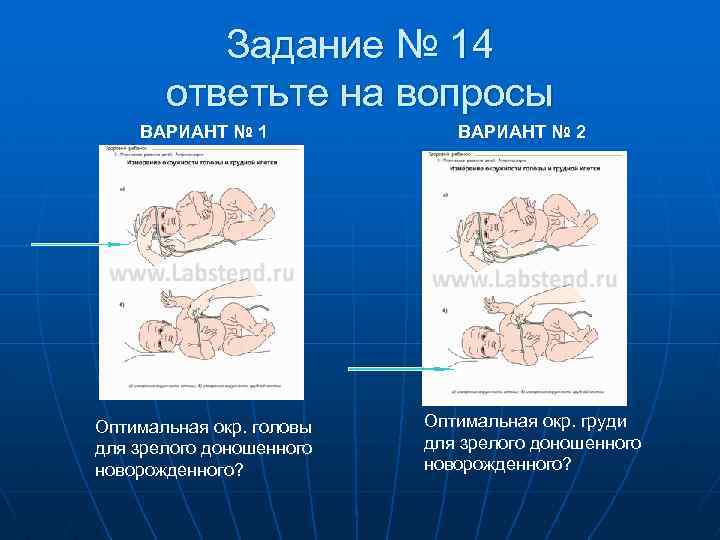 Задание № 14 ответьте на вопросы ВАРИАНТ № 1 Оптимальная окр. головы для зрелого