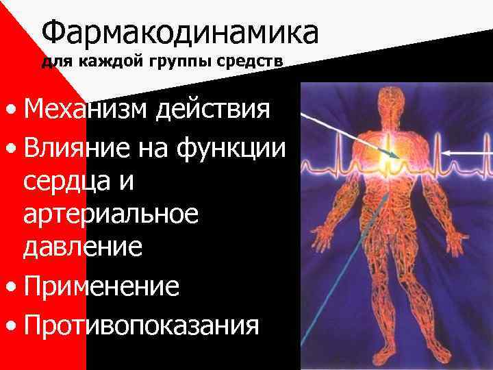 Фармакодинамика для каждой группы средств • Механизм действия • Влияние на функции сердца и