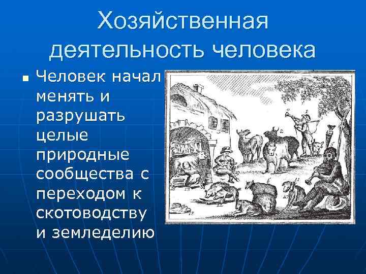 Хозяйственная деятельность человека n Человек начал менять и разрушать целые природные сообщества с переходом