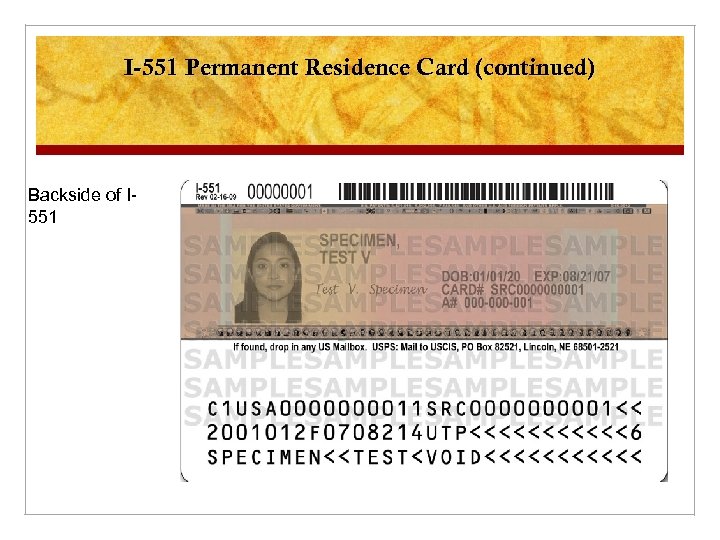 I-551 Permanent Residence Card (continued) Backside of I 551 