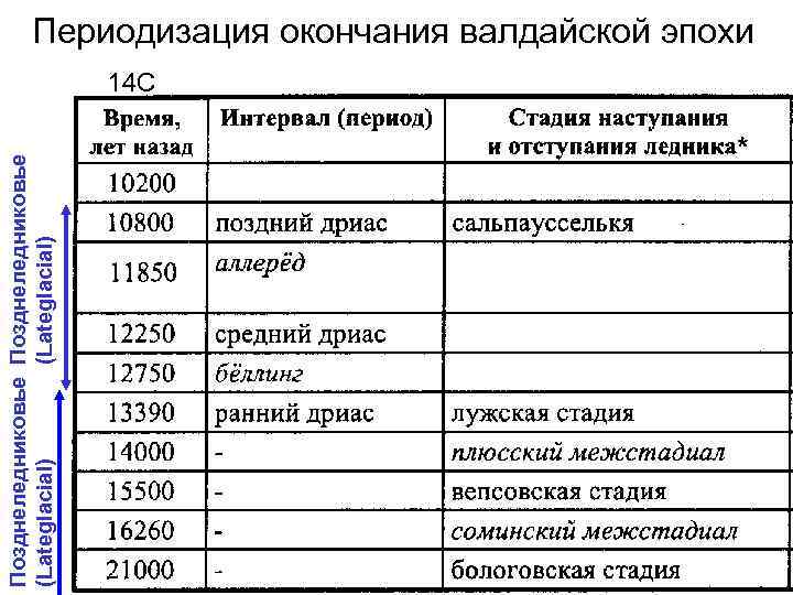 Позднеледниковье (Lateglacial) Периодизация окончания валдайской эпохи 14 С 