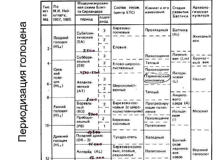 Кухня хронология. Голоценовая эпоха периодизация. Блитта Сернандера периодизация голоцена. Периодизация голоцена по климатическим условиям. Голоценовый период таблица.