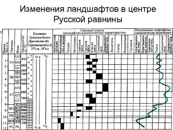 Изменения ландшафтов в центре Русской равнины 