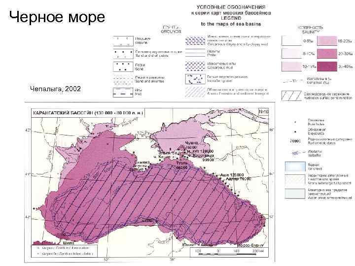 Черное море Чепалыга, 2002 