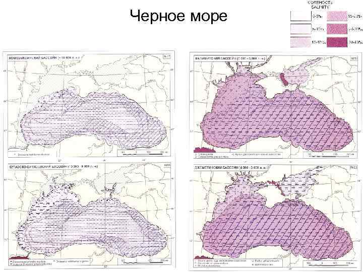 Черное море 