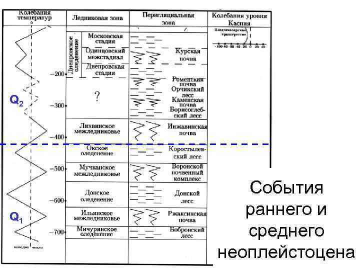 Q 2 Q 1 События раннего и среднего неоплейстоцена 