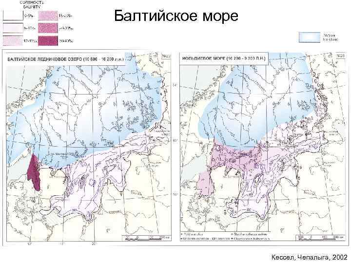 Балтийское море Кессел, Чепалыга, 2002 
