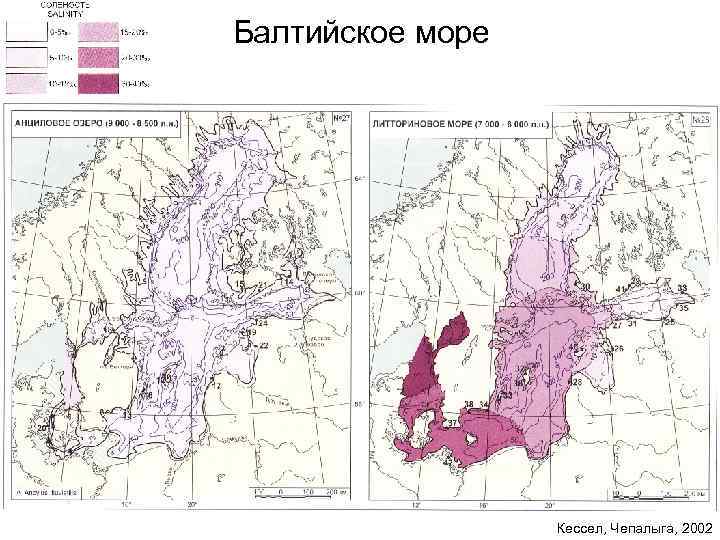 Балтийское море Кессел, Чепалыга, 2002 