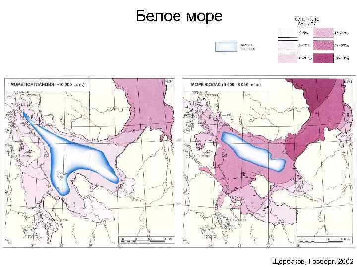 Белое море Щербаков, Говберг, 2002 