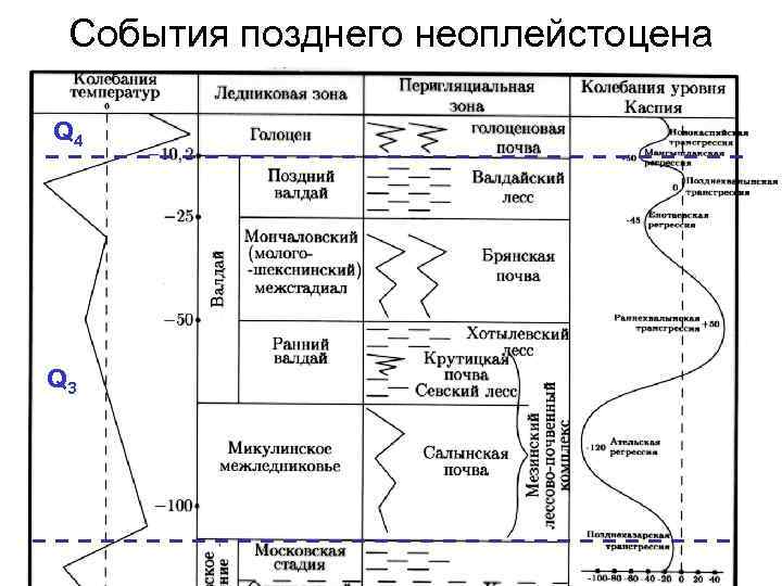 События позднего неоплейстоцена Q 4 Q 3 