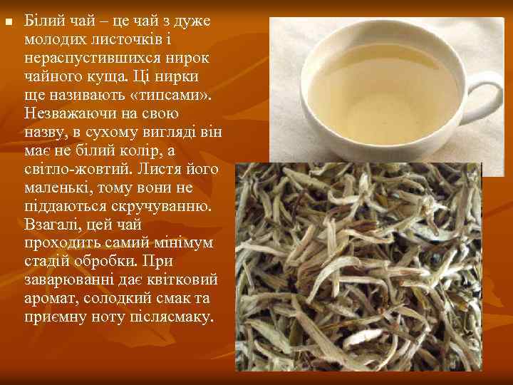 n Білий чай – це чай з дуже молодих листочків і нераспустившихся нирок чайного