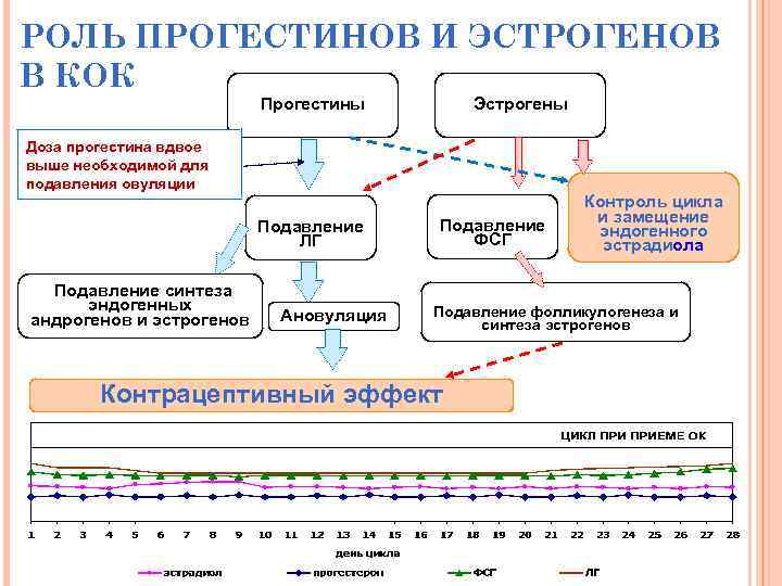 Используя данные диаграммы объясните функцию эстрогена