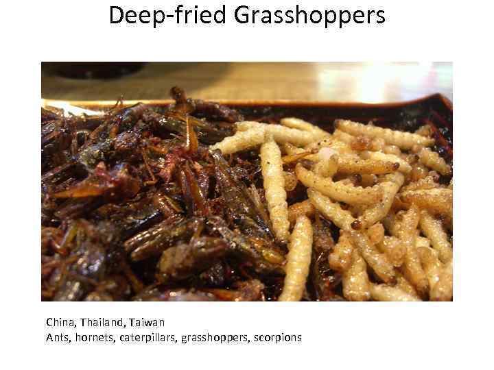 Deep-fried Grasshoppers China, Thailand, Taiwan Ants, hornets, caterpillars, grasshoppers, scorpions 