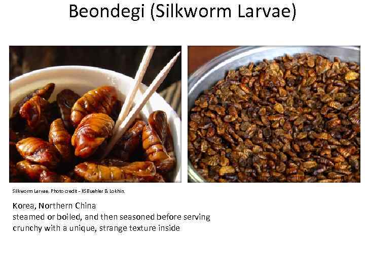 Beondegi (Silkworm Larvae) Silkworm Larvae. Photo credit - KSBuehler & Lokhin. Korea, Northern China