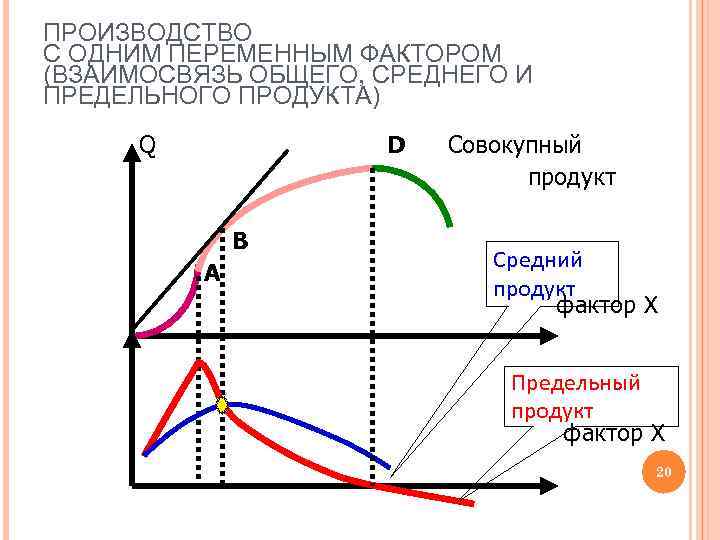 ПРОИЗВОДСТВО С ОДНИМ ПЕРЕМЕННЫМ ФАКТОРОМ (ВЗАИМОСВЯЗЬ ОБЩЕГО, СРЕДНЕГО И ПРЕДЕЛЬНОГО ПРОДУКТА) Q D B