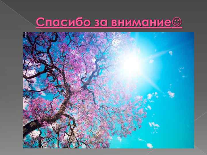 Спасибо за внимание 