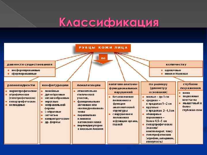 Классификация 