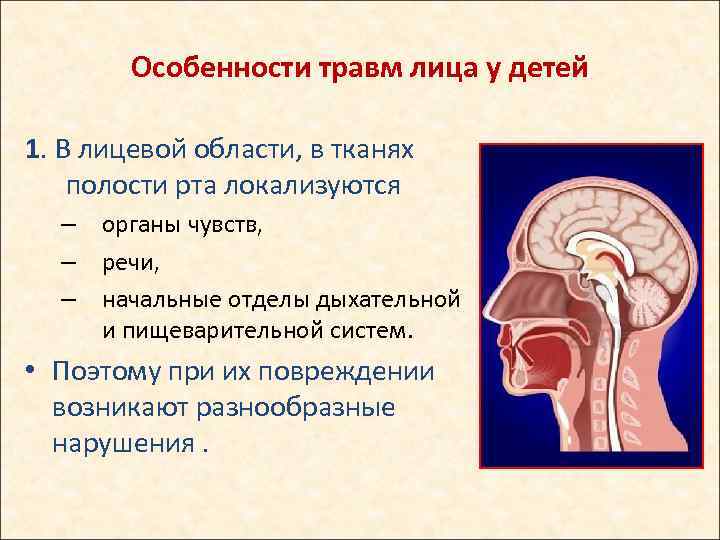 Особенности травм лица у детей 1. В лицевой области, в тканях полости рта локализуются
