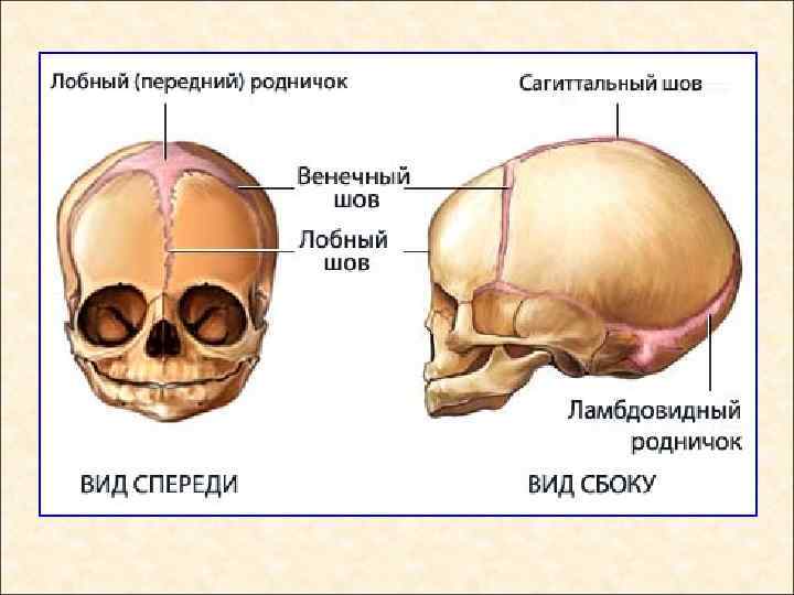 Абсцесс челюстно лицевой области фото