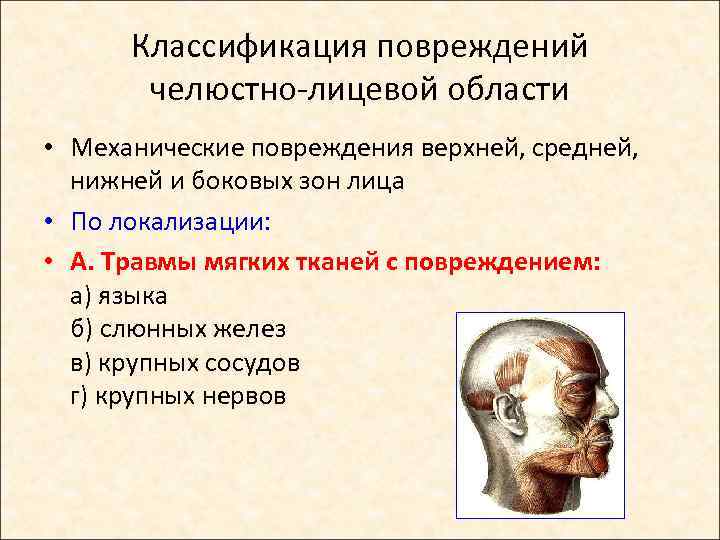 Классификация повреждений челюстно-лицевой области • Механические повреждения верхней, средней, нижней и боковых зон лица
