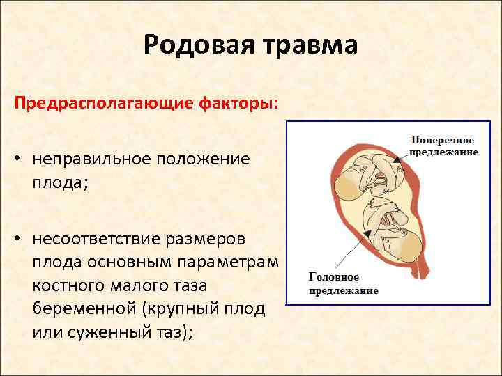 Родовая травма Предрасполагающие факторы: • неправильное положение плода; • несоответствие размеров плода основным параметрам