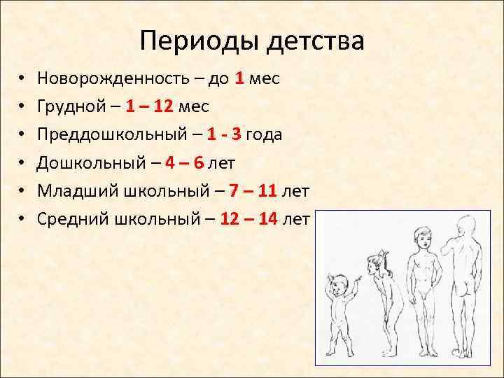 Периоды детства • • • Новорожденность – до 1 мес Грудной – 12 мес