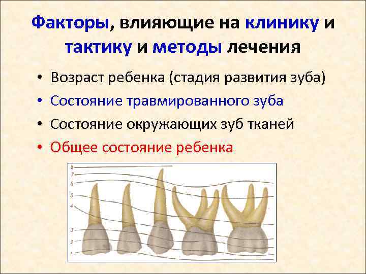 Факторы, влияющие на клинику и тактику и методы лечения • • Возраст ребенка (стадия