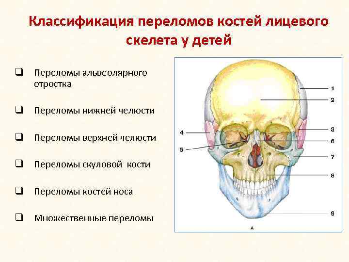 Переломы верхней челюсти у детей презентация