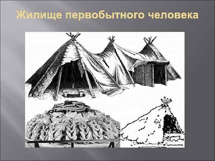 Указанные жилища. Жилищ первобытного человека. Шалаш первобытного человека. Шалаш древнего человека. Типы жилищ первобытного человека.