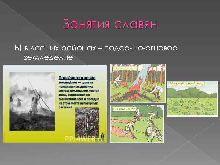 Занятия славян Б) в лесных районах – подсечно-огневое земледелие 