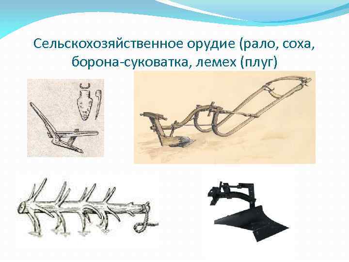 Сельскохозяйственное орудие (рало, соха, борона-суковатка, лемех (плуг) 