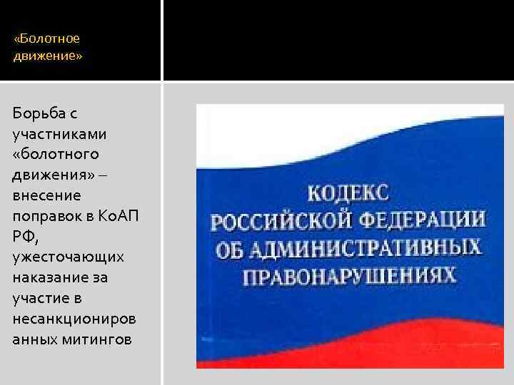  «Болотное движение» Борьба с участниками «болотного движения» – внесение поправок в Ко. АП