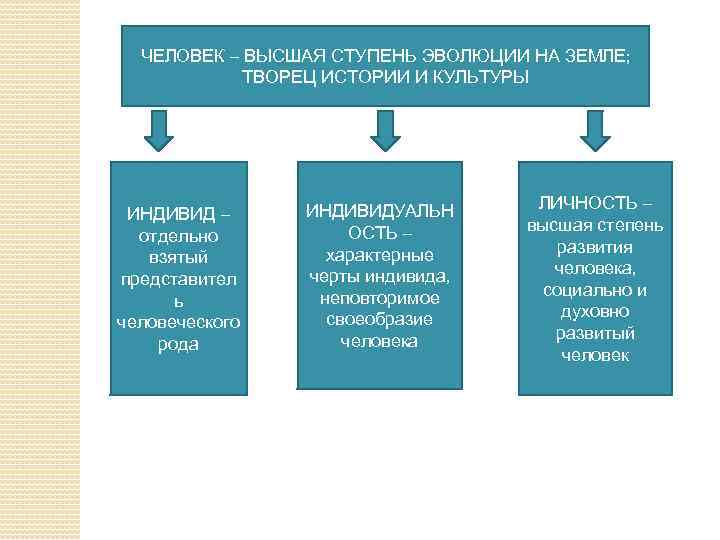 ЧЕЛОВЕК – ВЫСШАЯ СТУПЕНЬ ЭВОЛЮЦИИ НА ЗЕМЛЕ; ТВОРЕЦ ИСТОРИИ И КУЛЬТУРЫ ИНДИВИД – отдельно