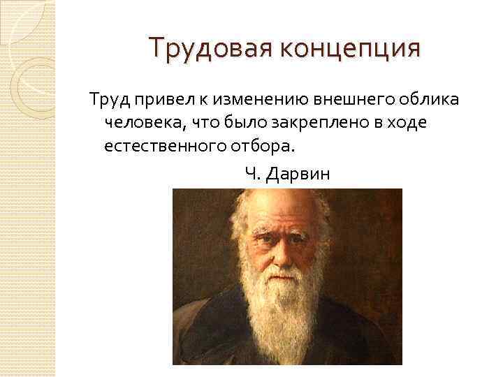 Трудовая концепция Труд привел к изменению внешнего облика человека, что было закреплено в ходе