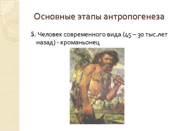 Основные этапы антропогенеза 5. Человек современного вида (45 – 30 тыс. лет назад) -